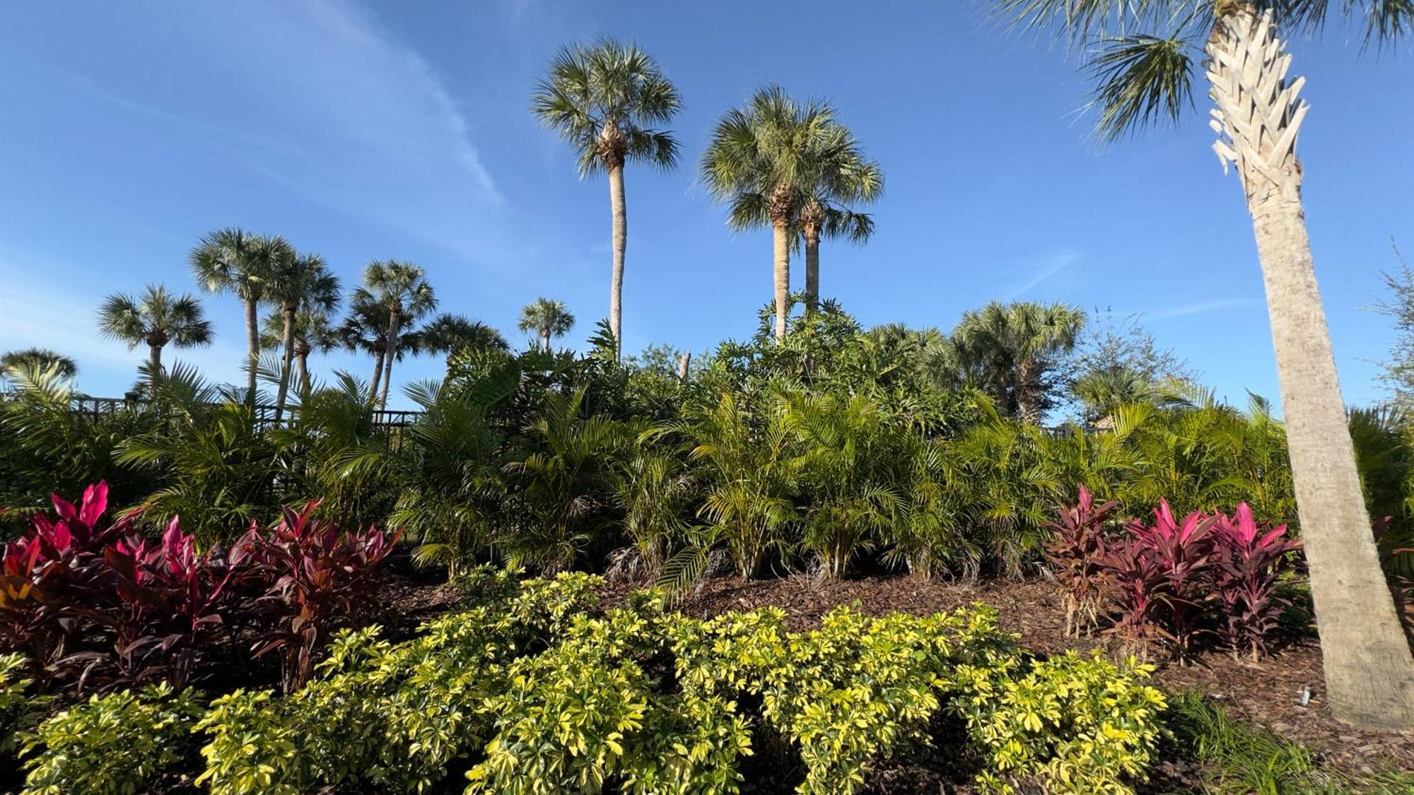 Avanti Palms Resort And Conference Center Orlando Dış mekan fotoğraf